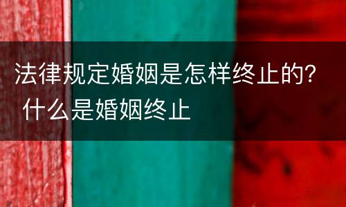 法律规定婚姻是怎样终止的？ 什么是婚姻终止