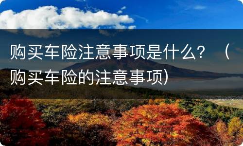 购买车险注意事项是什么？（购买车险的注意事项）