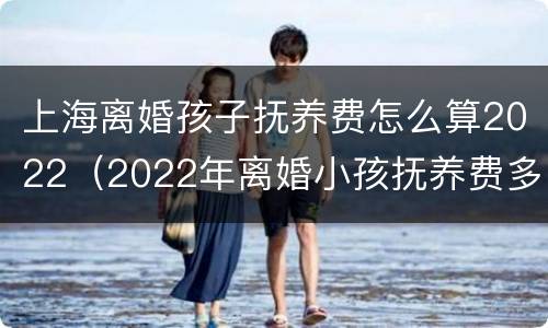上海离婚孩子抚养费怎么算2022（2022年离婚小孩抚养费多少）