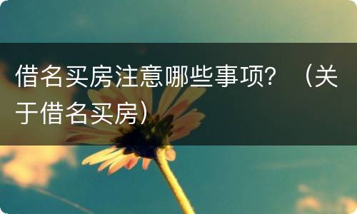 借名买房注意哪些事项？（关于借名买房）