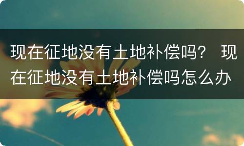 现在征地没有土地补偿吗？ 现在征地没有土地补偿吗怎么办