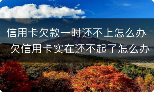 信用卡欠款一时还不上怎么办 欠信用卡实在还不起了怎么办
