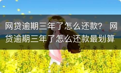 网贷逾期三年了怎么还款？ 网贷逾期三年了怎么还款最划算