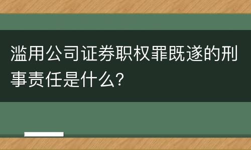 滥用公司证券职权罪既遂的刑事责任是什么？