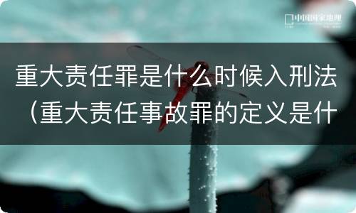 重大责任罪是什么时候入刑法（重大责任事故罪的定义是什么）