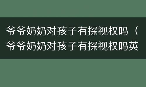 爷爷奶奶对孩子有探视权吗（爷爷奶奶对孩子有探视权吗英语）