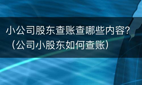 小公司股东查账查哪些内容？（公司小股东如何查账）