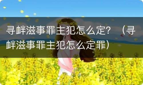 寻衅滋事罪主犯怎么定？（寻衅滋事罪主犯怎么定罪）