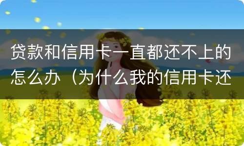 贷款和信用卡一直都还不上的怎么办（为什么我的信用卡还不了款）