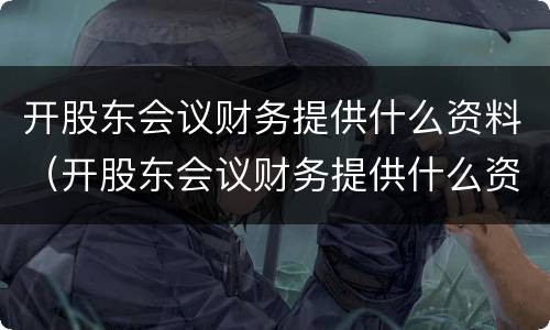 开股东会议财务提供什么资料（开股东会议财务提供什么资料呢）