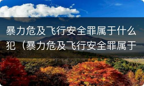 暴力危及飞行安全罪属于什么犯（暴力危及飞行安全罪属于什么犯罪）