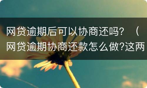 网贷逾期后可以协商还吗？（网贷逾期协商还款怎么做?这两招就够了）
