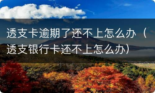 透支卡逾期了还不上怎么办（透支银行卡还不上怎么办）
