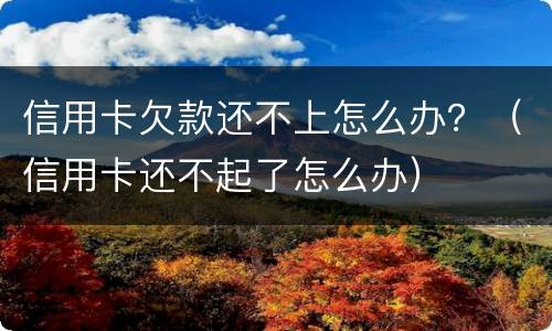 信用卡欠款还不上怎么办？（信用卡还不起了怎么办）