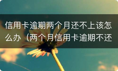 信用卡逾期两个月还不上该怎么办（两个月信用卡逾期不还有什么结果）