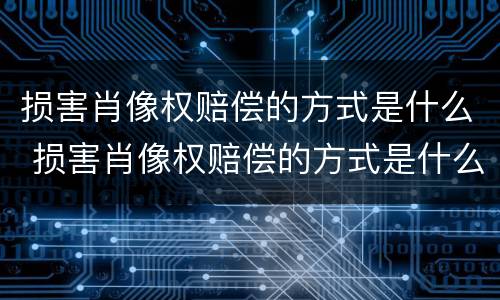 损害肖像权赔偿的方式是什么 损害肖像权赔偿的方式是什么法律