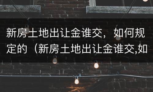 新房土地出让金谁交，如何规定的（新房土地出让金谁交,如何规定的呢）