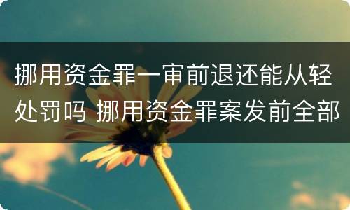 挪用资金罪一审前退还能从轻处罚吗 挪用资金罪案发前全部归还
