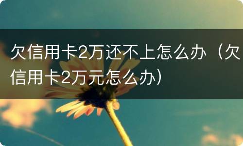 欠信用卡2万还不上怎么办（欠信用卡2万元怎么办）