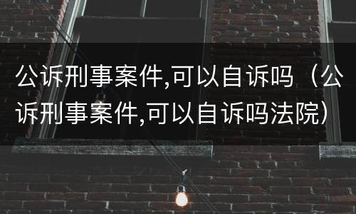 公诉刑事案件,可以自诉吗（公诉刑事案件,可以自诉吗法院）