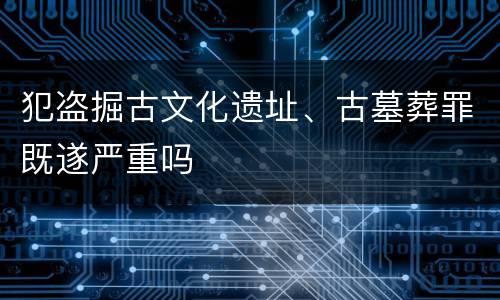 犯盗掘古文化遗址、古墓葬罪既遂严重吗