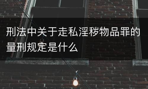 刑法中关于走私淫秽物品罪的量刑规定是什么