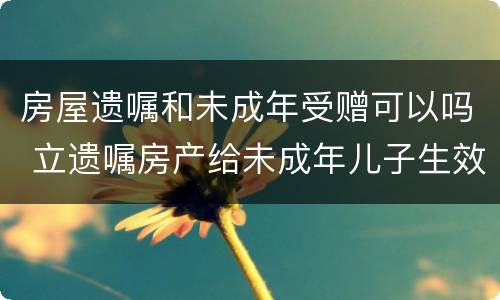 房屋遗嘱和未成年受赠可以吗 立遗嘱房产给未成年儿子生效吗