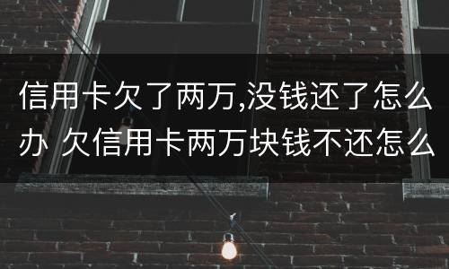 信用卡欠了两万,没钱还了怎么办 欠信用卡两万块钱不还怎么办