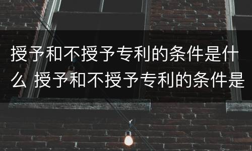 授予和不授予专利的条件是什么 授予和不授予专利的条件是什么意思