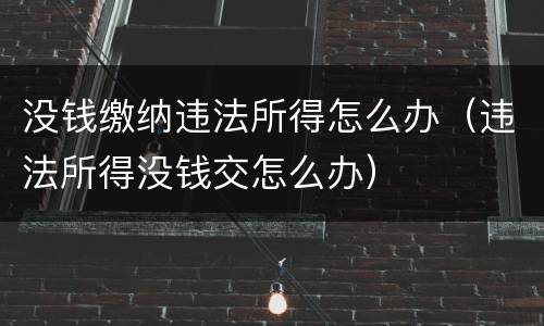 没钱缴纳违法所得怎么办（违法所得没钱交怎么办）