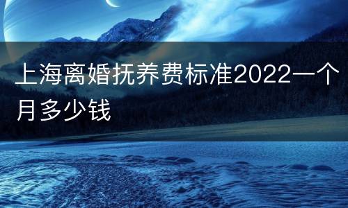 上海离婚抚养费标准2022一个月多少钱