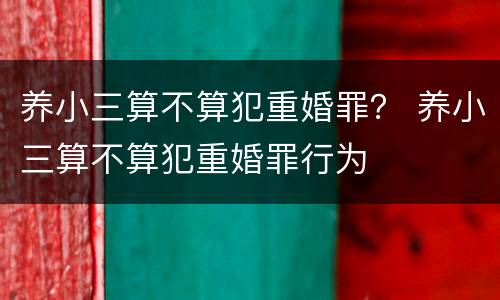 养小三算不算犯重婚罪？ 养小三算不算犯重婚罪行为