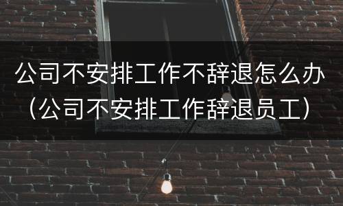 公司不安排工作不辞退怎么办（公司不安排工作辞退员工）