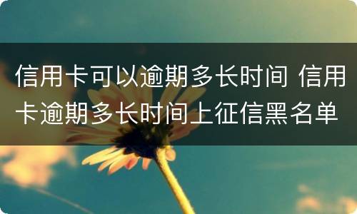 信用卡可以逾期多长时间 信用卡逾期多长时间上征信黑名单