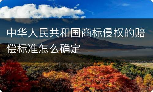 中华人民共和国商标侵权的赔偿标准怎么确定