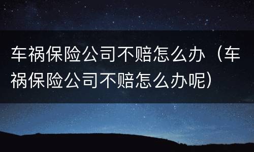 车祸保险公司不赔怎么办（车祸保险公司不赔怎么办呢）
