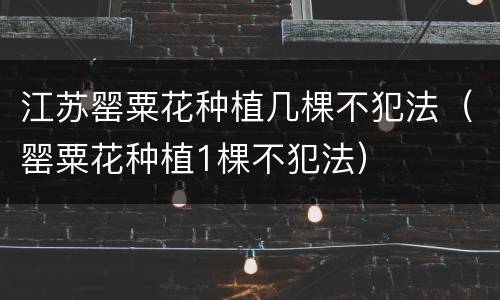 江苏罂粟花种植几棵不犯法（罂粟花种植1棵不犯法）