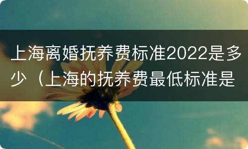 上海离婚抚养费标准2022是多少（上海的抚养费最低标准是多少）
