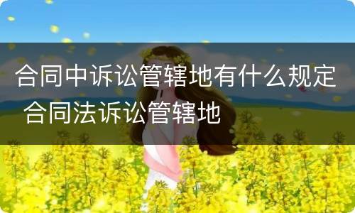 合同中诉讼管辖地有什么规定 合同法诉讼管辖地