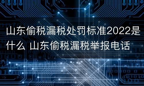 山东偷税漏税处罚标准2022是什么 山东偷税漏税举报电话