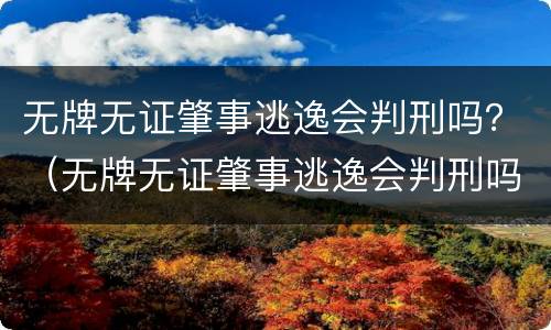 无牌无证肇事逃逸会判刑吗？（无牌无证肇事逃逸会判刑吗知乎）
