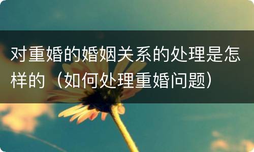 对重婚的婚姻关系的处理是怎样的（如何处理重婚问题）