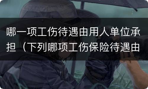 哪一项工伤待遇由用人单位承担（下列哪项工伤保险待遇由用人单位承担?）