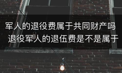 军人的退役费属于共同财产吗 退役军人的退伍费是不是属于个人财产