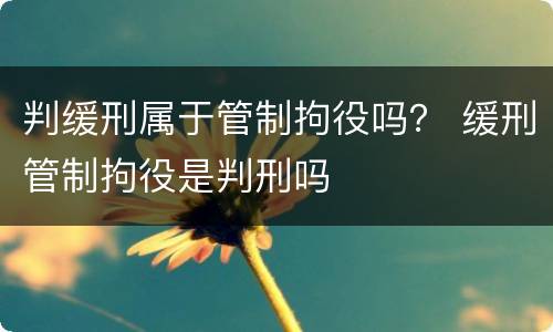 判缓刑属于管制拘役吗？ 缓刑管制拘役是判刑吗