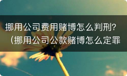 挪用公司费用赌博怎么判刑？（挪用公司公款赌博怎么定罪）