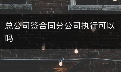 总公司签合同分公司执行可以吗