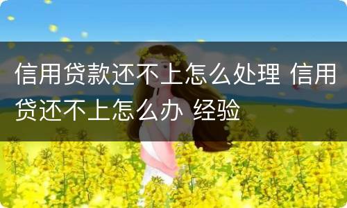 信用贷款还不上怎么处理 信用贷还不上怎么办 经验