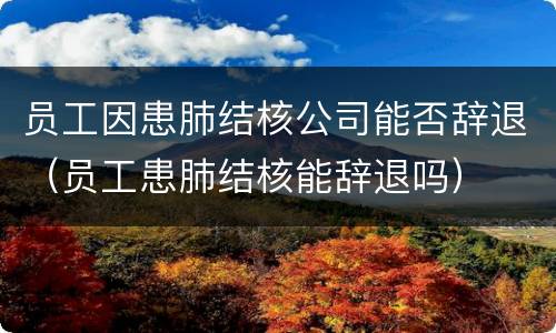 员工因患肺结核公司能否辞退（员工患肺结核能辞退吗）