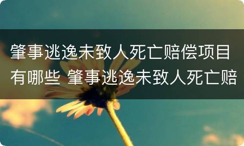 肇事逃逸未致人死亡赔偿项目有哪些 肇事逃逸未致人死亡赔偿项目有哪些呢